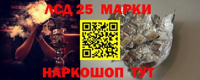 прущие грибы Будённовск