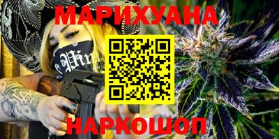 прущие грибы Будённовск