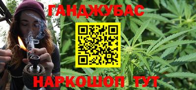прущие грибы Будённовск