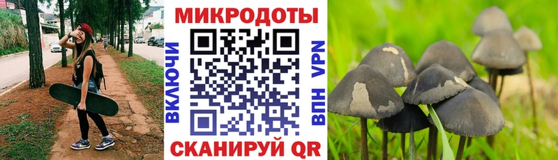 Псилоцибиновые грибы мухоморы  где купить наркоту  Вязники 
