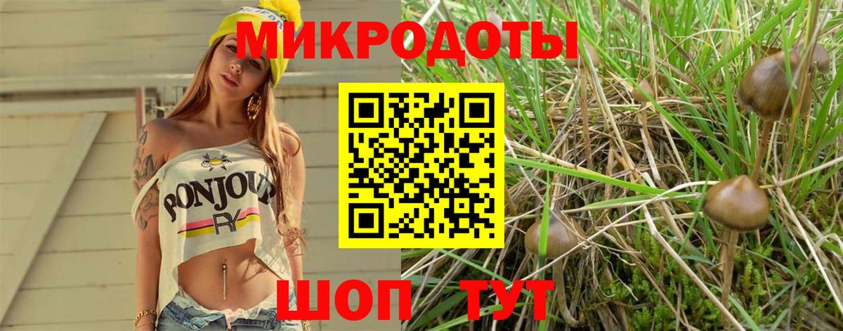 Псилоцибиновые грибы Magic Shrooms Вязники