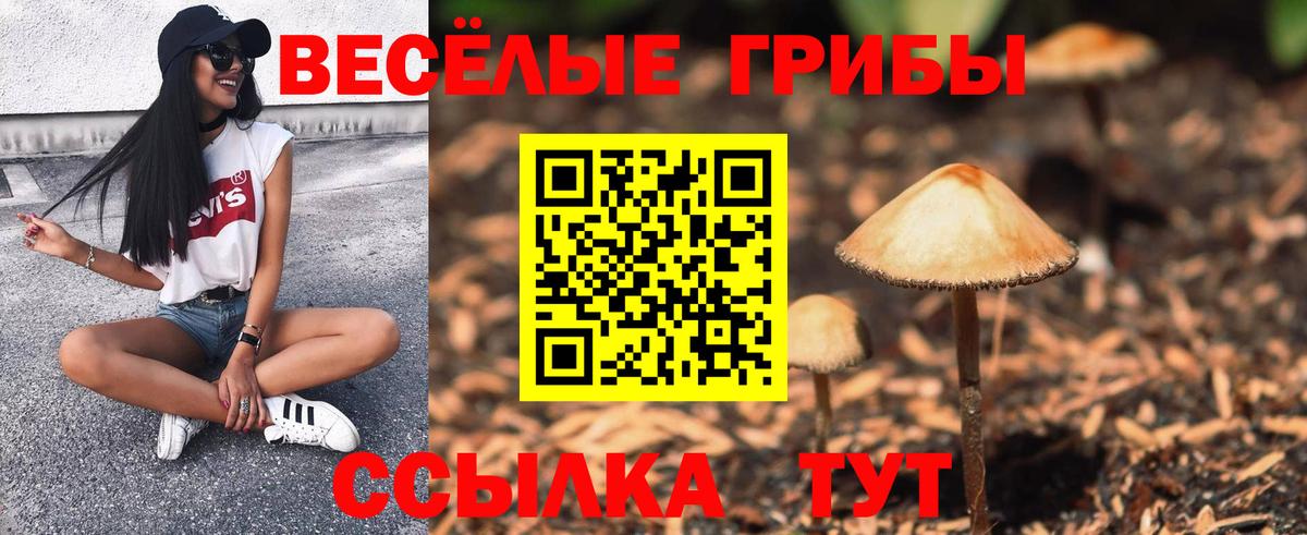 Галлюциногенные грибы Cubensis Вязники