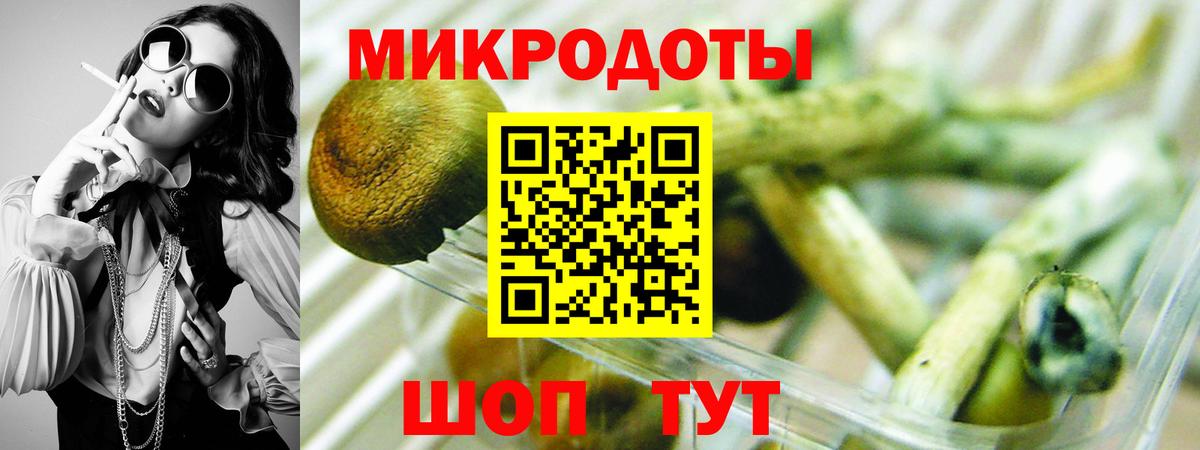 Галлюциногенные грибы ЛСД  Вязники  Псилоцибиновые грибы мухоморы 