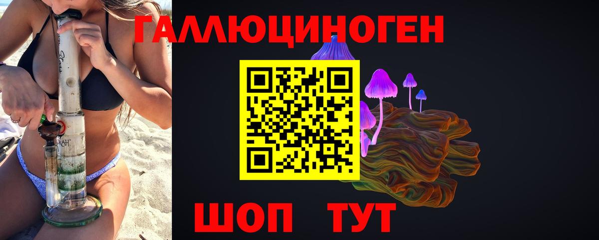 Вязники  Галлюциногенные грибы GOLDEN TEACHER  Вход с VPN 